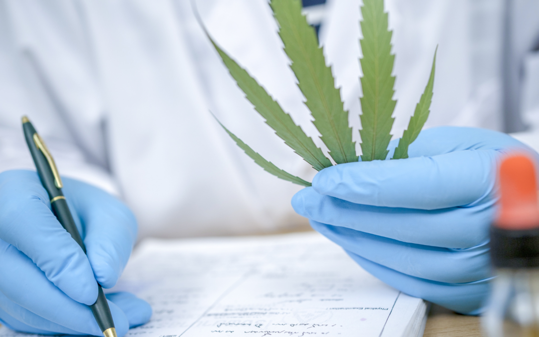 How LIMS Can Meet the Unique Needs of Cannabis Testing Labs